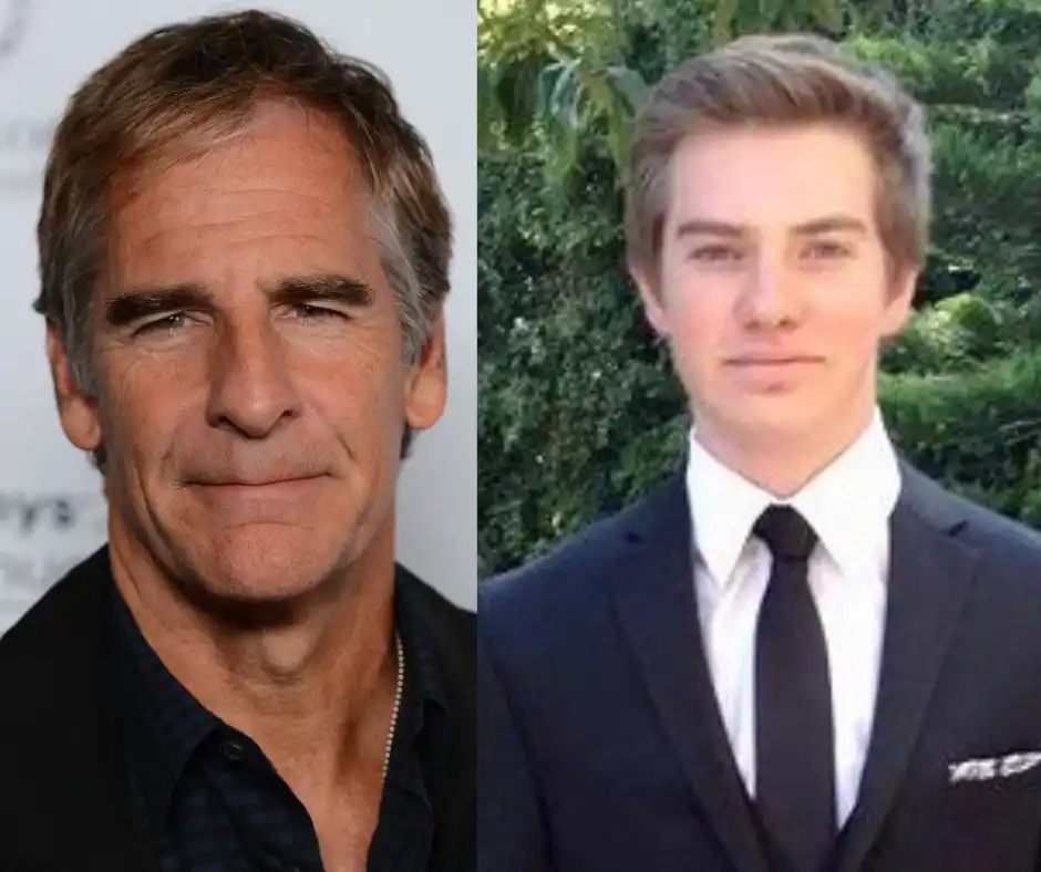 wil bakula
